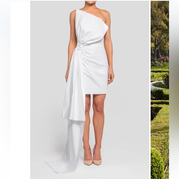 Alexia Maria Nadine Silk Draped Strapless Minidress - Picture 11 of 12